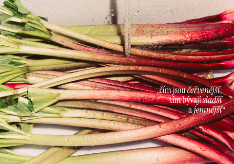 Sacred Roots ✷ sezónní průvodce