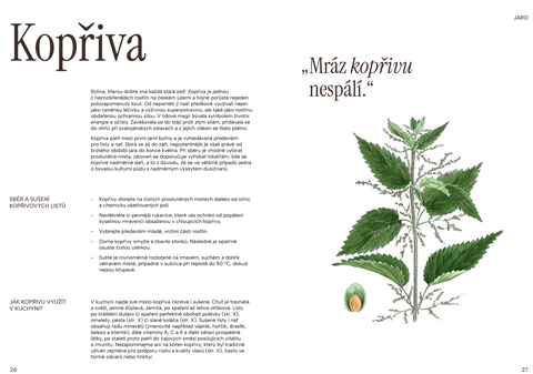 Sacred Roots ✷ sezónní průvodce