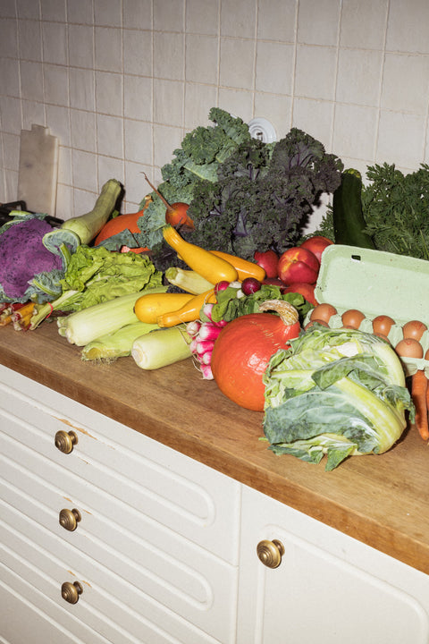 Sacred Roots ✷ sezónní průvodce