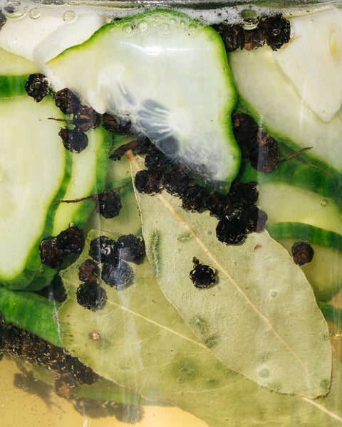 Sacred Roots ✷ sezónní průvodce